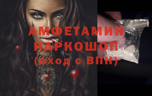 гидра Володарск