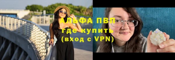 гидра Володарск
