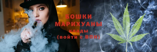 гидра Володарск