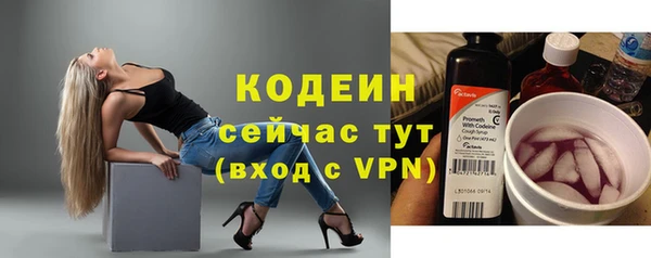 гидра Володарск