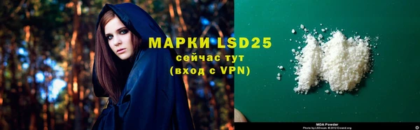 гидра Володарск