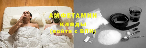 гидра Володарск