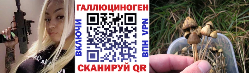 Галлюциногенные грибы MAGIC MUSHROOMS  Шали 